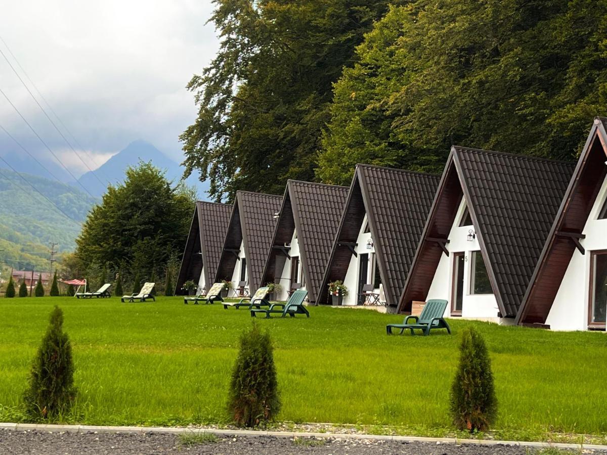 Casutele De Sub Padure Hotel Avrig Eksteriør billede